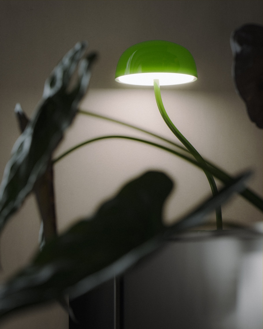 Alocasia transplanting