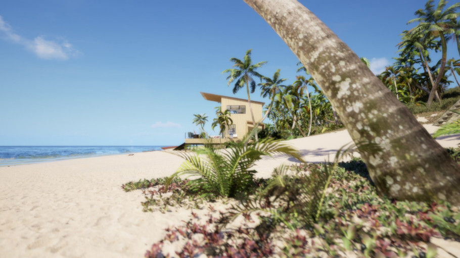 Beach House