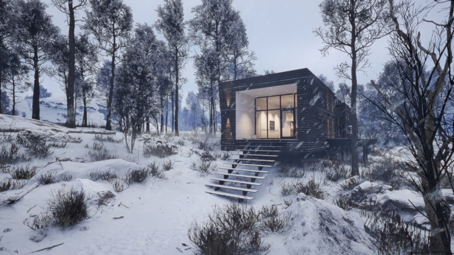 Snowy Lodge
