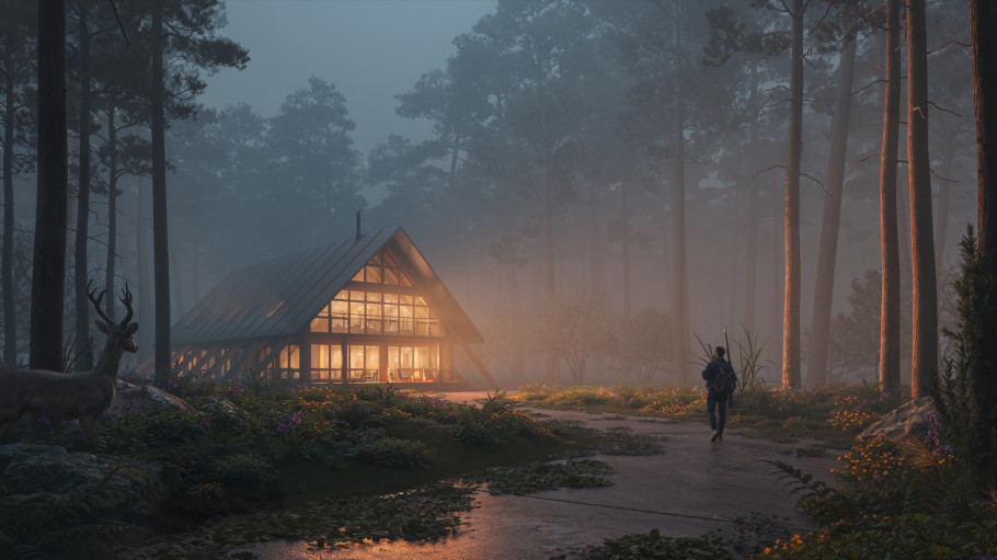 Into the Mist