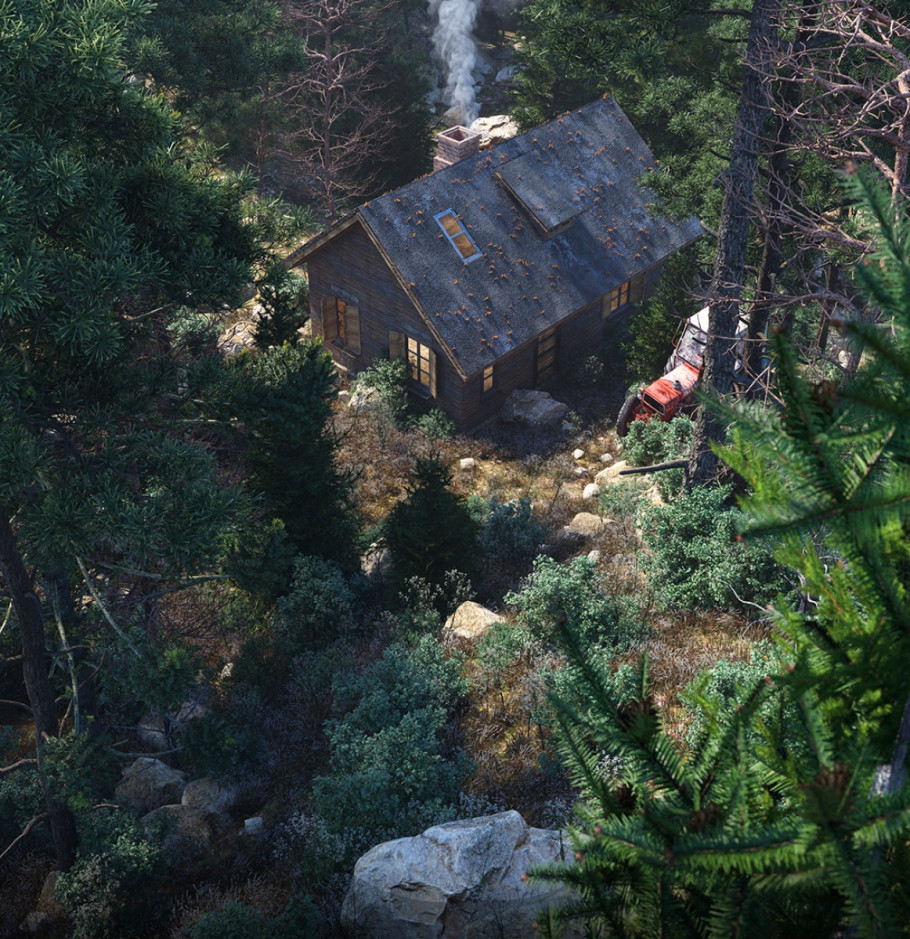 THE FOREST HOUSE 2