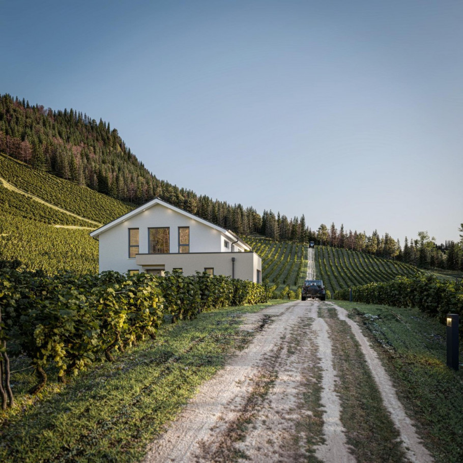 Houses in a vineyard