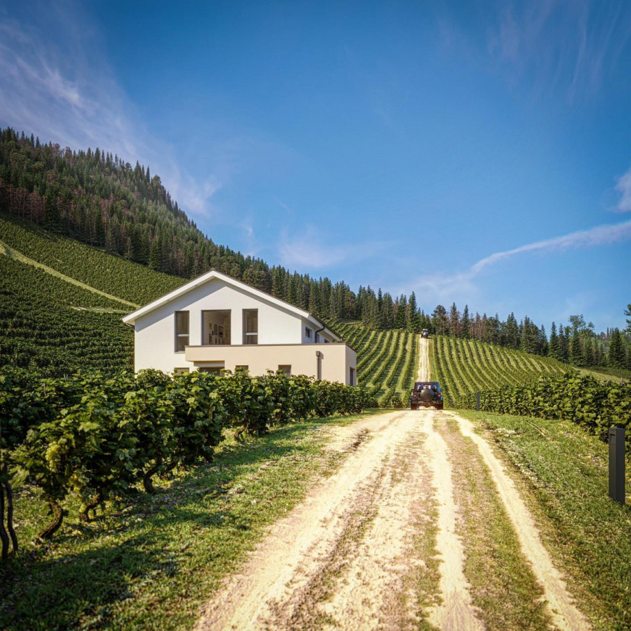 Houses in a vineyard
