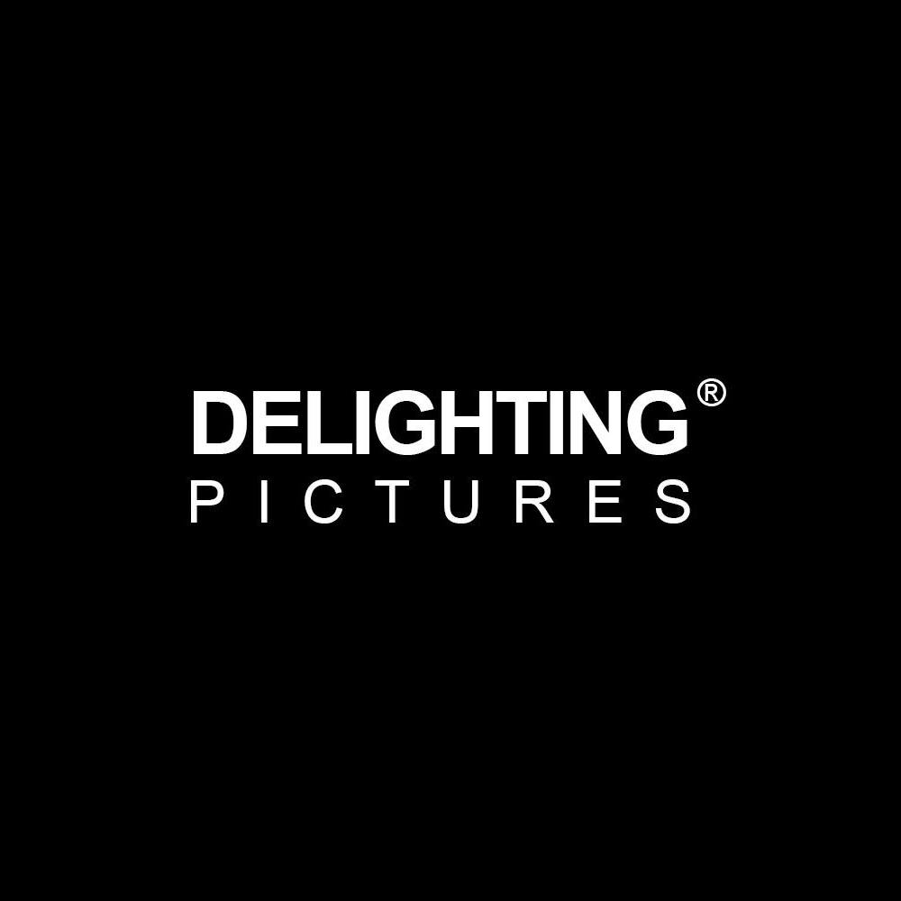 Delighting Pictures
