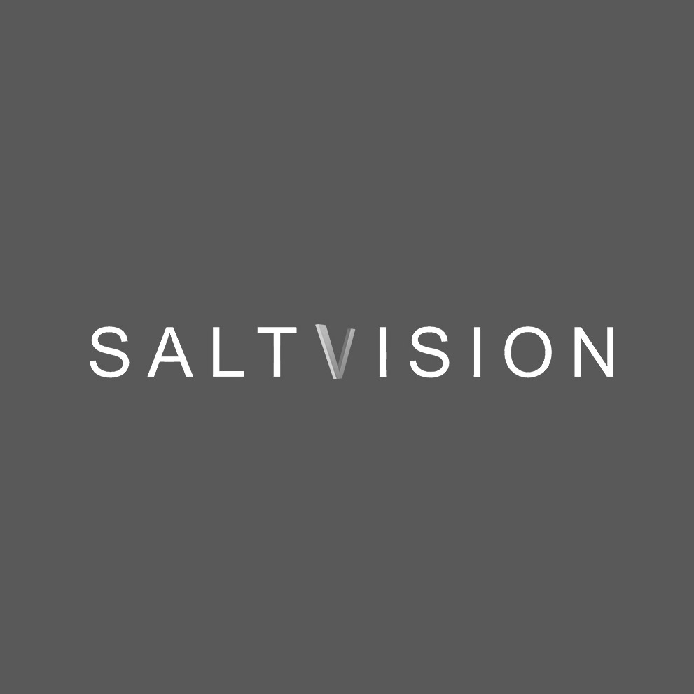 Saltvision Team
